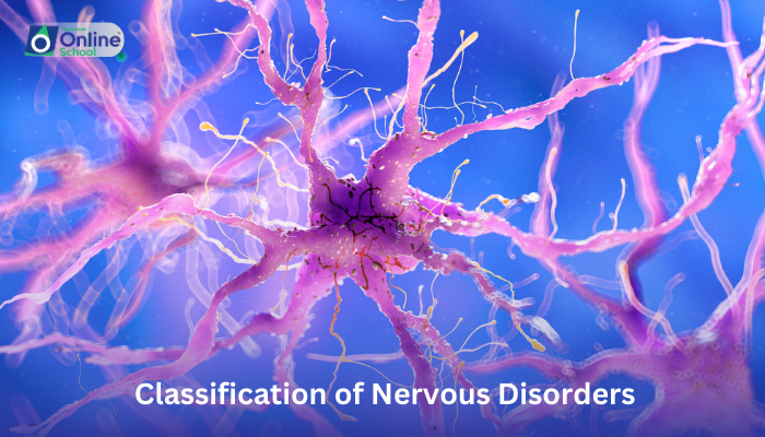 Lesson 28: Classification of Nervous Disorders